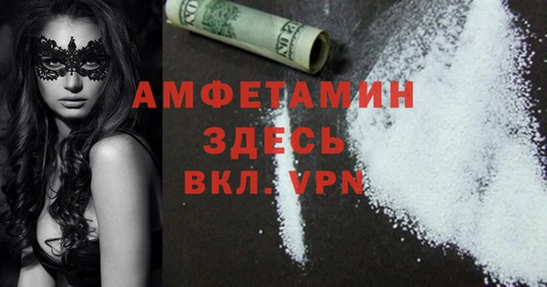 прущие грибы Армянск