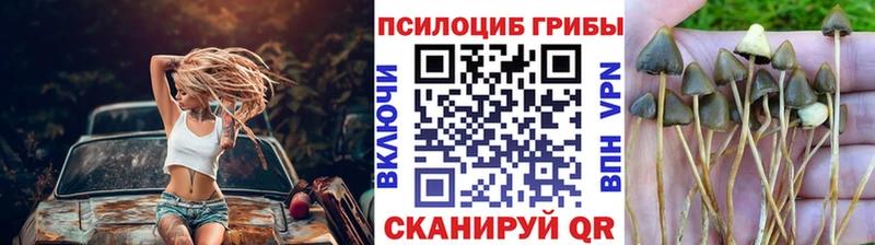 Псилоцибиновые грибы прущие грибы где можно купить наркотик Свирск
