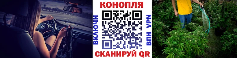 Шишки марихуана Bruce Banner  закладка  Свирск 